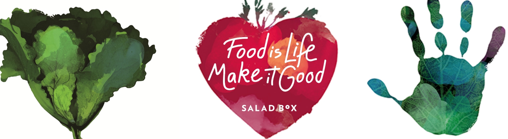 Salad Box